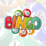 Bingo Night