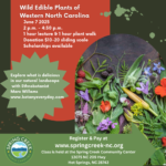 Wild Edible Plants with Marc Williams Ethnobotanist
